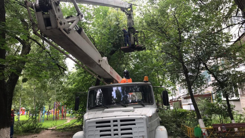 Сухостойные деревья ликвидировали в 9 округах Подмосковья по требованию Госадмтехнадзора